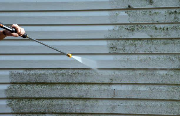 Best Roof Power Washing Services  in Cleona, PA